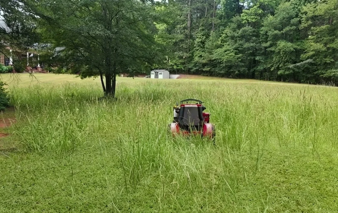 Before a Mow Pro GA lawn service visit