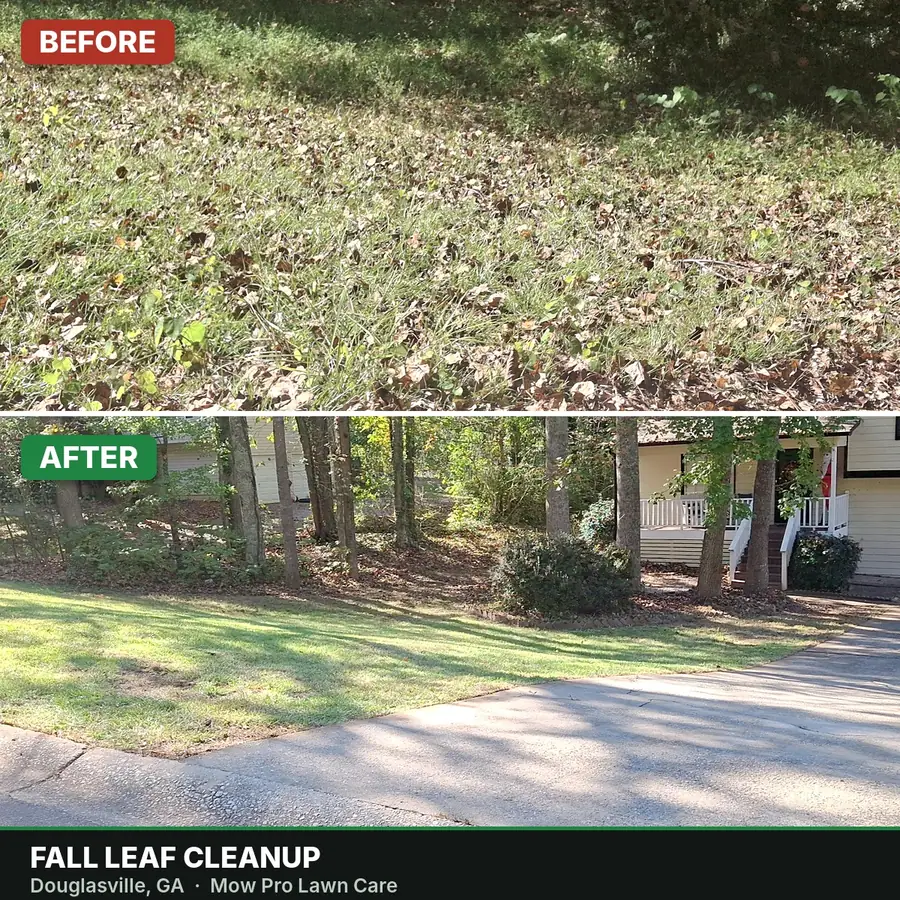 Before and after a fall leaf cleanup in Douglasville, GA: lawn covered in leaves, then cleared and mowed