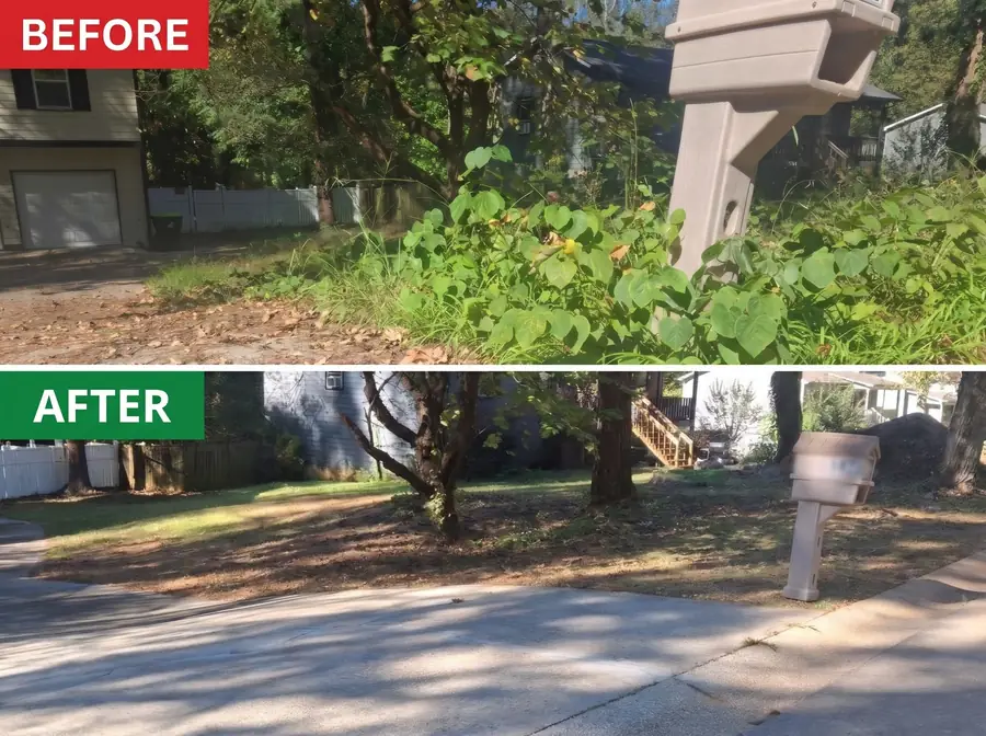Before and after an overgrown front yard cleanup in Douglasville, GA: vines and weeds cut back, leaves cleared